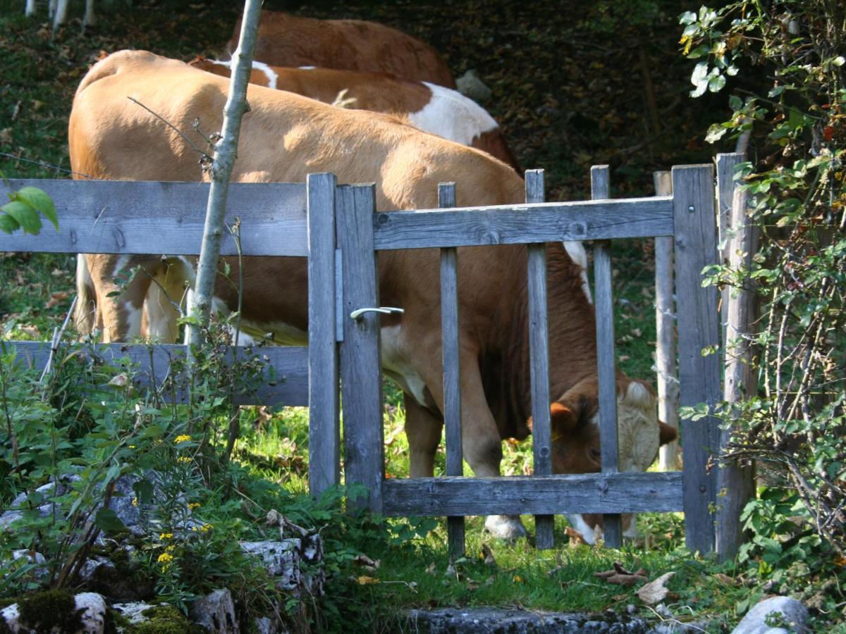 Ferienwohnungen Haus Waldwinkel Aschau im Chiemgau Dış mekan fotoğraf